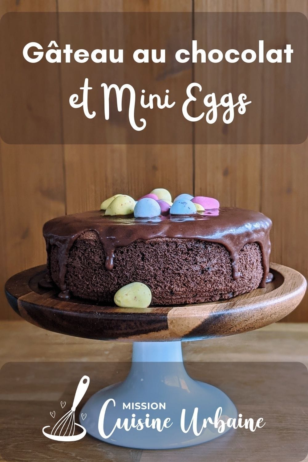 Des mini eggs sur un gâteau au chocolat