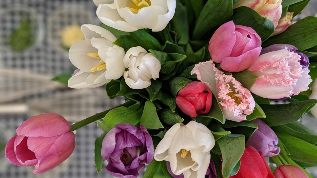 Un bouquet de tulipes pour enjoliver une table