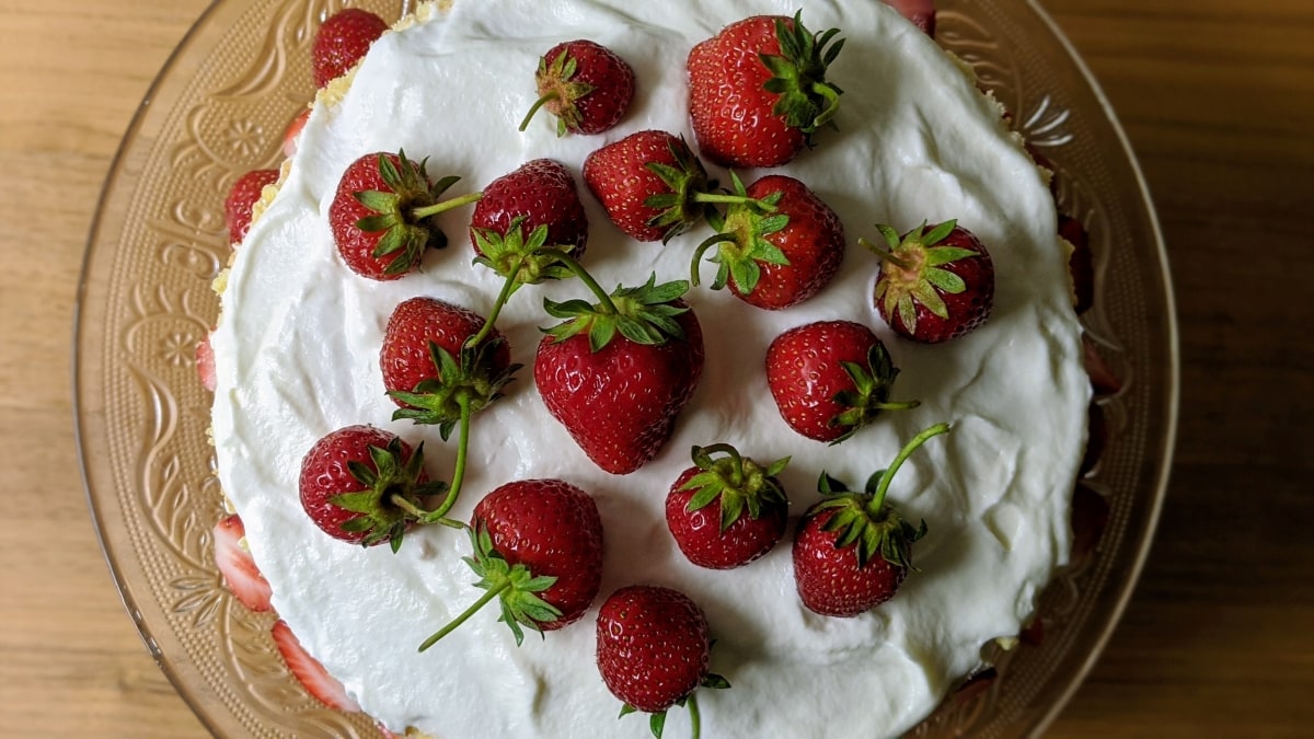 Shortcake aux fraises Mission Cuisine Urbaine Vue haut