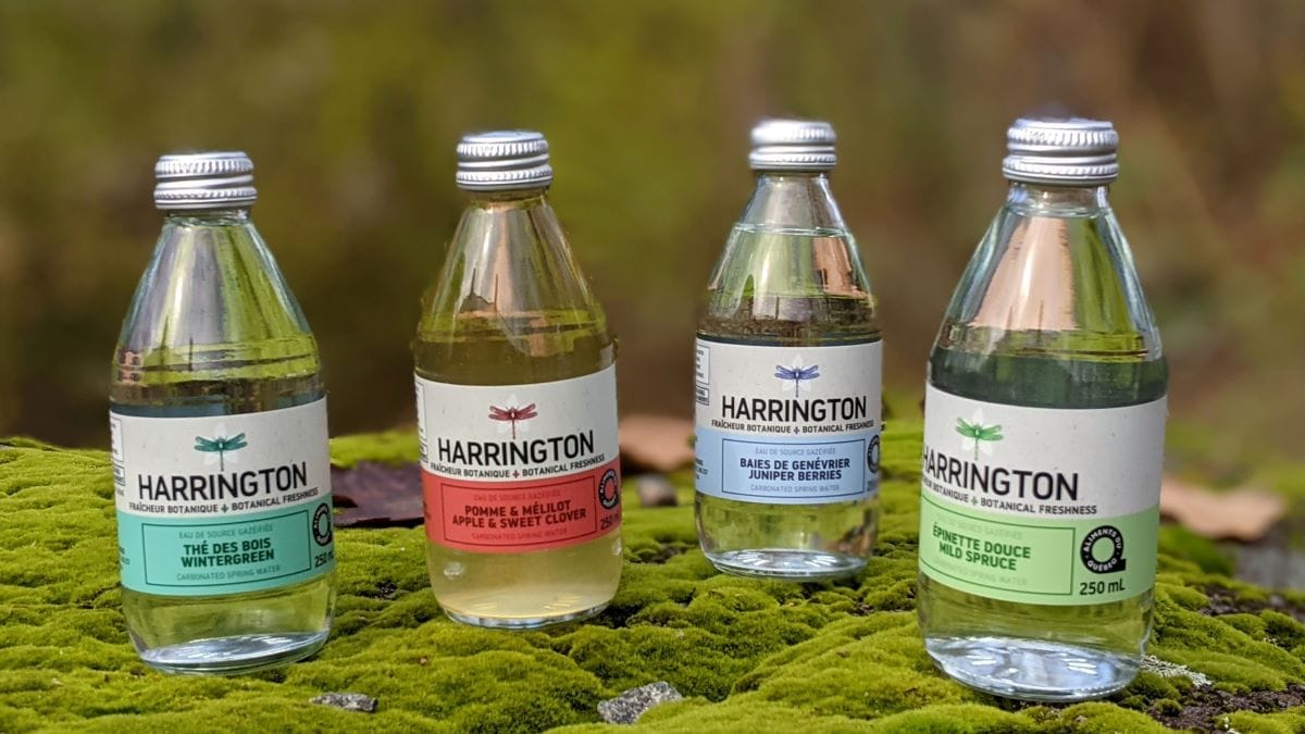 Harrington eaux pétillantes