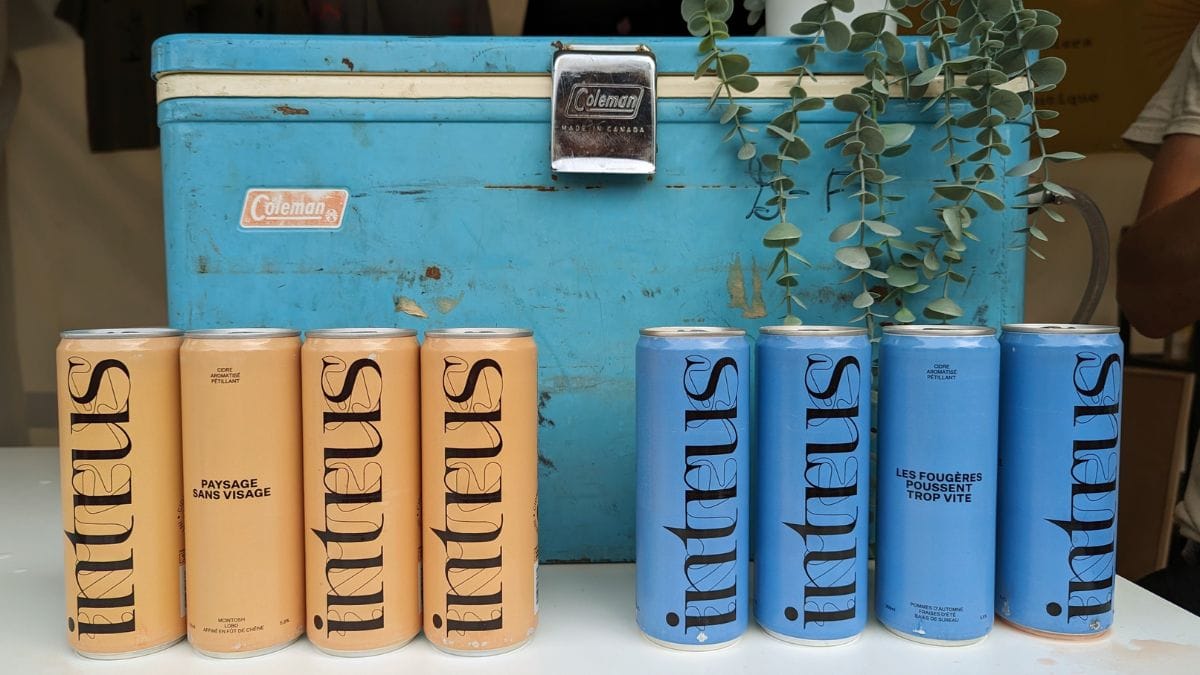 Cidre l'intrus