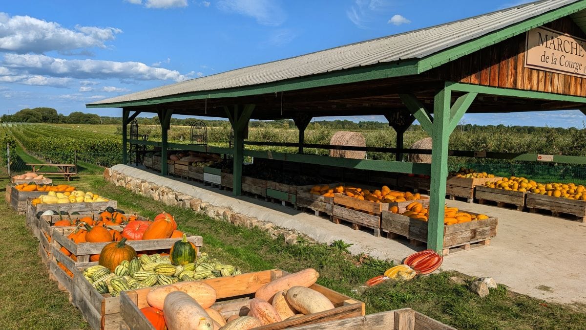 Le marché de la Courge 