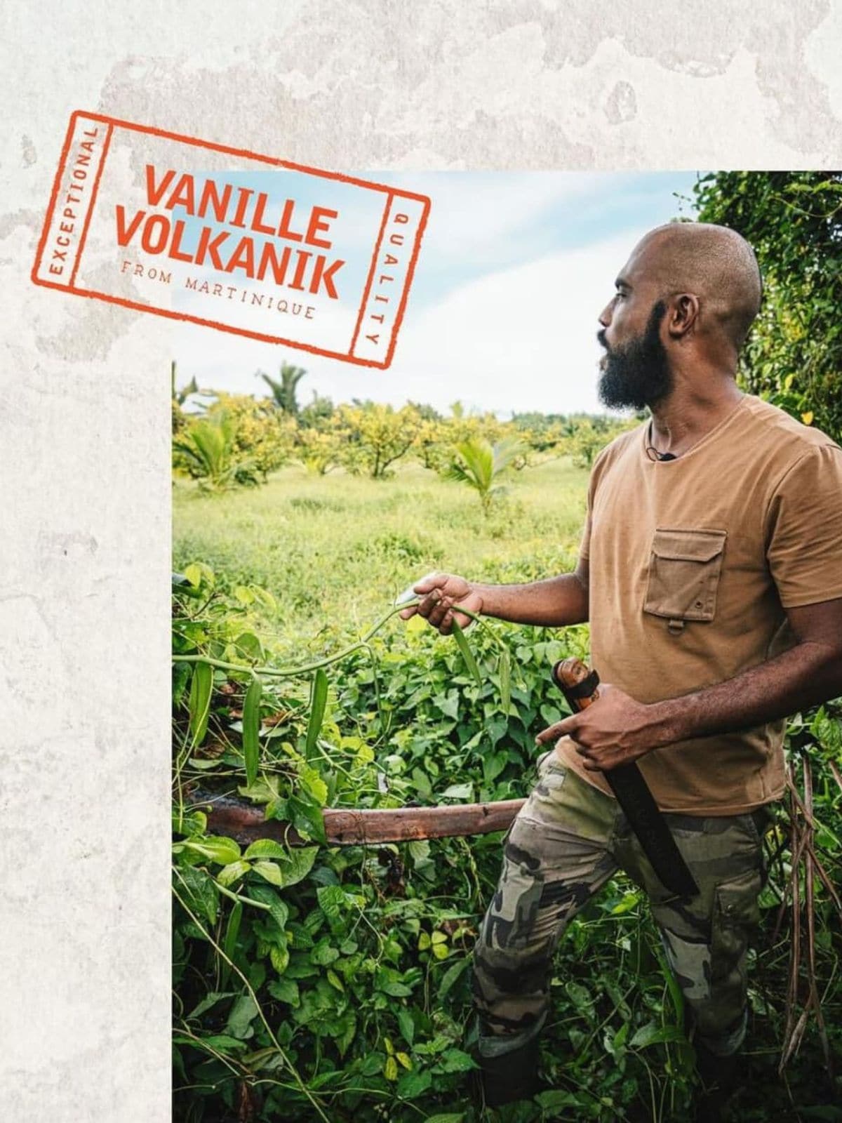 Vanille Volkanik Martinique