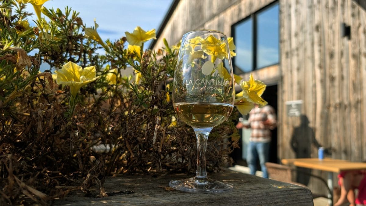 Verre de vins La Cantina Oka