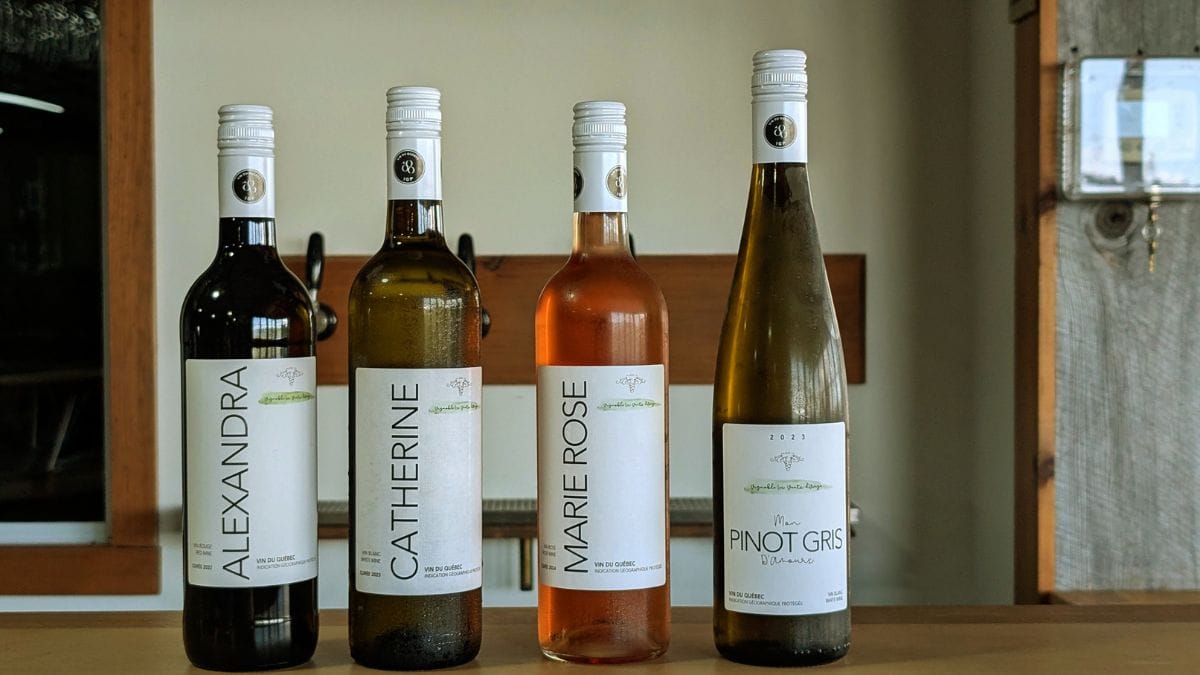 Vins Vignobles Vents d'Ange