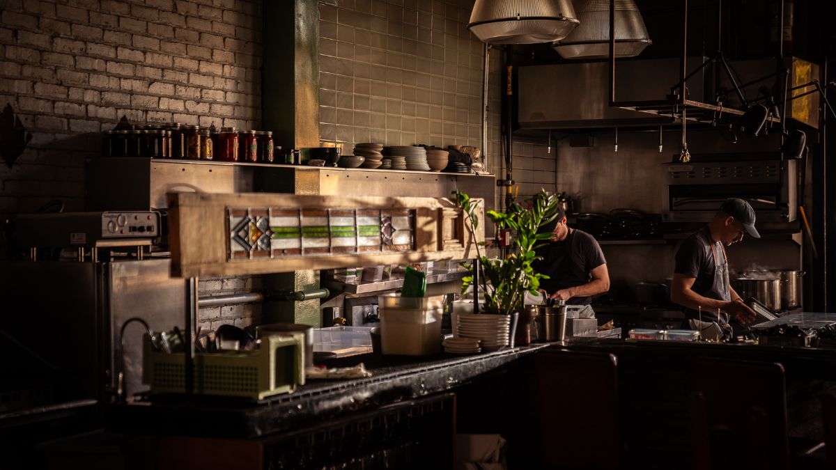 Mtl en lumière Anémone