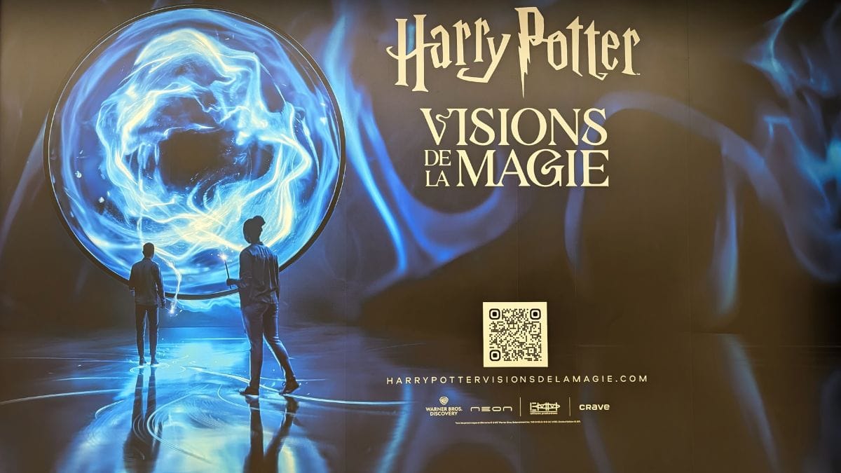 Harry Potter Visions de la magie