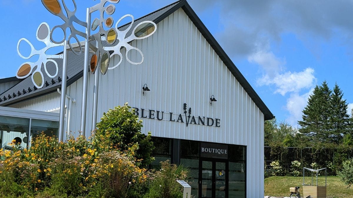Bleu Lavande Magog et la vaste boutique