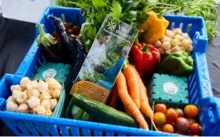 Panier des produits des fermes en ville de montréal