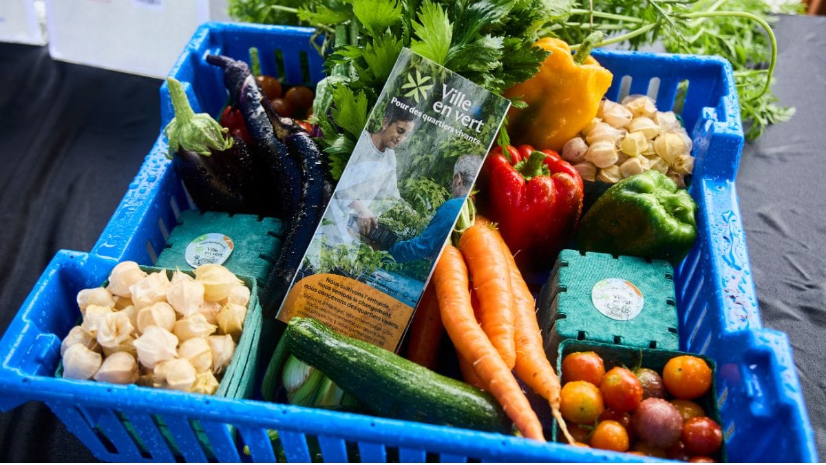 Panier des produits des fermes en ville de montréal