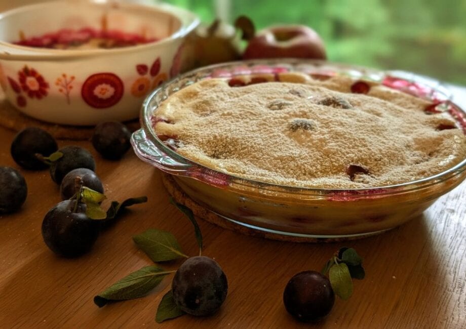 Clafoutis aux prunes adapté Julia Child Mission Cuisine Urbaine
