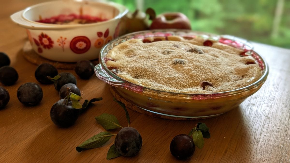 Clafoutis aux prunes adapté Julia Child Mission Cuisine Urbaine